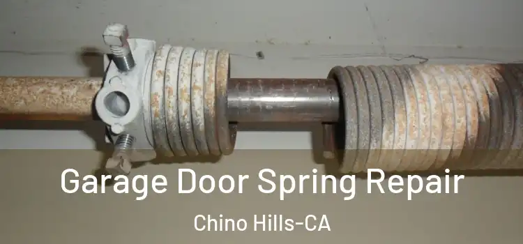 Garage Door Spring Repair Chino Hills-CA