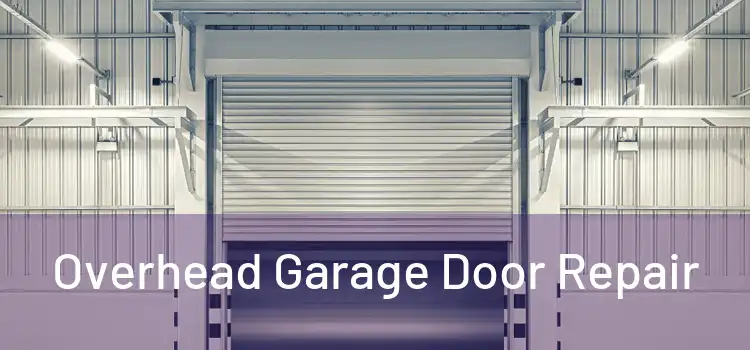  Overhead Garage Door Repair 