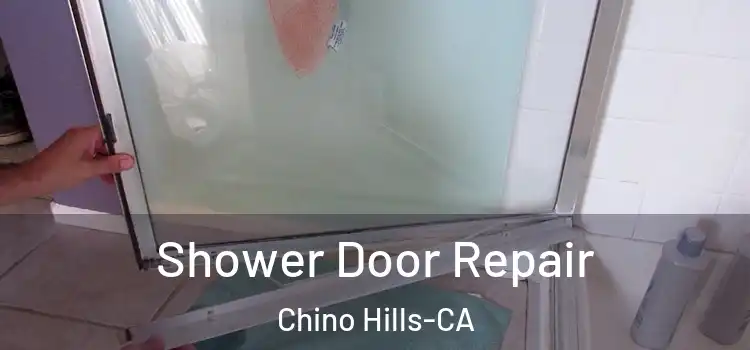 Shower Door Repair Chino Hills-CA